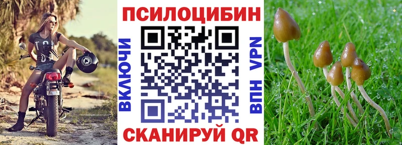 Галлюциногенные грибы прущие грибы  закладка  Палласовка 